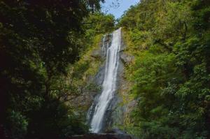 a waterfall in the middle of a forest at Hotel Guarakessaba in Guaraqueçaba +12 photos