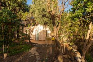 a house in the middle of a forest at Villa Nestor in Ingenio