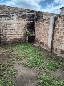 a brick wall with a potted plant in it at Alvear centro hospedaje 2 in General Alvear