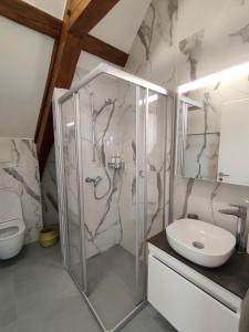 a bathroom with a shower and a toilet at Zogbi Hospitality Aubonne 3 in Aubonne