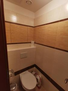 a small bathroom with a toilet and a sink at Rodinný Špic in Špičák