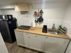 a kitchen counter with a sink and a refrigerator at Cozy Basement Studio with Private Bathroom and Kitchen in Vaughan +5 photos