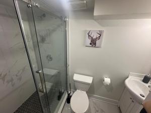 a bathroom with a shower and a toilet and a sink at Cozy Basement Studio with Private Bathroom and Kitchen in Vaughan
