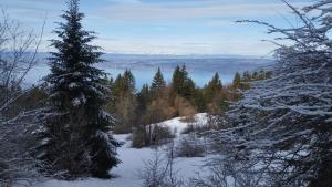 a snow covered tree on a mountain with a lake at Le balcon des Memises in Thollon