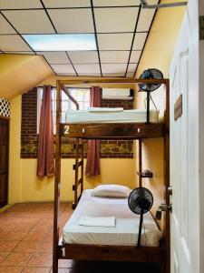 a bedroom with two bunk beds in a room at Yellow Belly Backpackers in San Ignacio