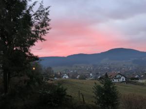 Gallery image of Apartment Aida by Interhome in Baiersbronn