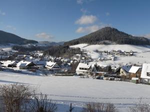 Gallery image of Apartment Aida by Interhome in Baiersbronn