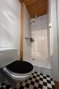 a bathroom with a toilet and a bath tub at Apartment Thun Relax Suite by Interhome in Thun