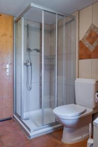 a bathroom with a shower and a toilet at Apartment Haggen by Interhome in Oberegg +1 photo