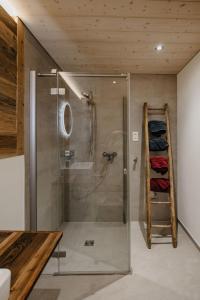 a shower stall in a bathroom with a ladder at Apartment Hof Obertalgut by Interhome in Teuffenthal