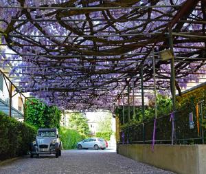 Zahrada ubytování Hotel Stipino
