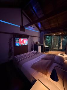 a bedroom with a large bed and a television at Deck1920 by Estadias Incríveis in Cascavel
