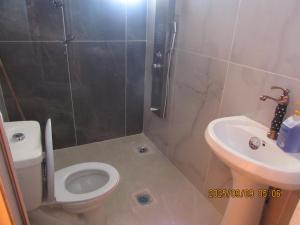 a bathroom with a toilet and a sink at اكواخ الملول عجلون 2 in Ajloun +7 photos