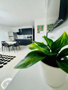 a potted plant sitting on a counter in a kitchen at Brand New Luxe 2BR Apt Near SJU & Airport in Carolina