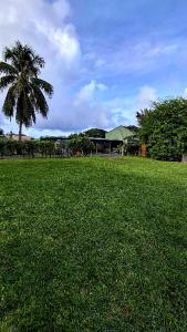 a green field with a palm tree in the background at MJA's Retreat in Arorangi +2 photos