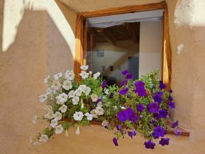 a window with a bunch of purple and white flowers at La Cueva De Orel in Molinicos