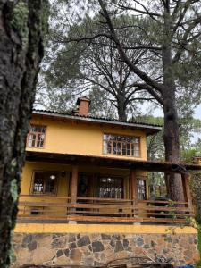 a yellow house with trees in front of it at Casa del Bosque in Mazamitla