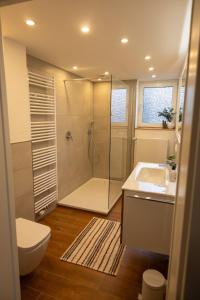 a bathroom with a shower and a toilet and a sink at Haus Eifelglück am Stausee Obermaubach in Kreuzau