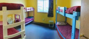 a room with two bunk beds and a window at MobyDick Hostel in Seward