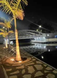 a bridge over a body of water with palm trees at Acogedora recámara, con balcón y entrada independiente in Tampico