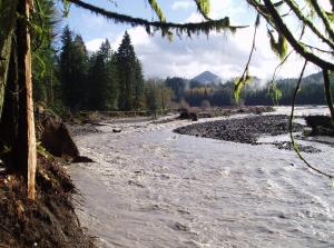 a river with rocks and trees in the background at New Tiny Home Steps Away From Mt. Rainier in Ashford