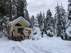 a cabin in the snow with snow covered trees at New Tiny Home Steps Away From Mt. Rainier in Ashford