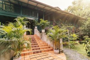 a set of stairs leading to a house with palm trees at Casa de Mono Bocas in Big Creek
