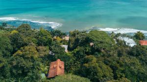 an old building in the middle of a forest of trees at Casa de Mono Bocas in Big Creek