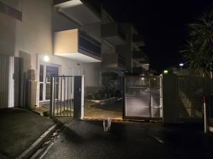 a cat standing in front of a gate at night at Apparte 104 avec Jacuzzi in Cap d'Agde