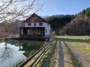 a house sitting on the side of a body of water at Cabana Țibleș Bichigiu in Bichigiu