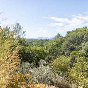 a view from the top of a hill with trees at Studio le nid avec piscine partagée in Flayosc +4 photos
