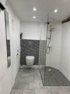 a bathroom with a shower stall and a toilet at Mas de la clue - 2 personnes in Figanières +11 photos