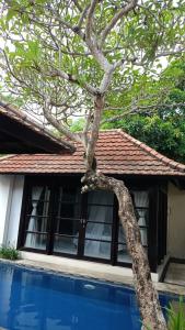 a tree in front of a house with a swimming pool at Villa Kubu Pratiwi - Villa 2 in Canggu