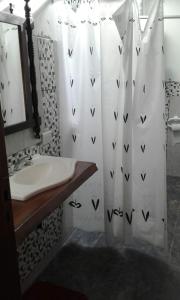 ein Badezimmer mit Waschbecken und Duschvorhang in der Unterkunft La Casita de Sil in Mina Clavero