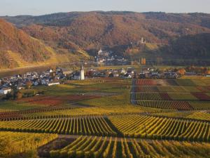 an aerial view of a vineyard in the mountains at Weingut im Moselkrampen in Ellenz-Poltersdorf