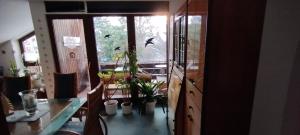 a room with a table with plants and a window at Steffi in Hannover