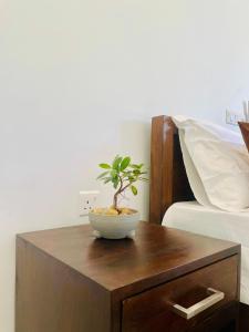 a plant in a bowl on a wooden table next to a bed at Ayubowan Yala in Tissamaharama