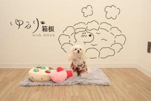 a white dog sitting on a rug in a room at ゆるり箱根withDOGS in Hakone +81 photos