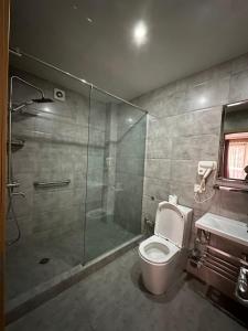 a bathroom with a shower and a toilet and a sink at Amber Boutique Hotel in Tbilisi City