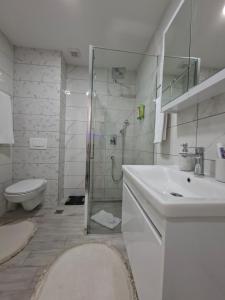 a bathroom with a shower and a sink and a toilet at Apartman TRI KRALJA 4 in Banja Koviljača +33 photos