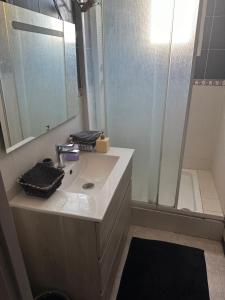 a bathroom with a sink and a shower at Laila in Creil