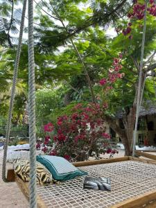 a swing with a pillow and a pair of shoes on it at Embe Lodge in Kizimkazi +96 photos