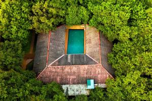 an overhead view of a pool in the middle of a forest at Pinthaliya Resort in Sigiriya