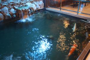 a large pool of water with fish in it at Kew Hotel Tagbilaran in Tagbilaran City
