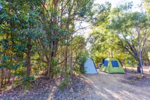 Fotografie z fotogalerie ubytování RAC Margaret River Nature Park v destinaci Margaret River