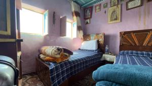 two beds in a room with purple walls at Safeya Kato in Jazīrat ‘Awwāḑ +35 photos