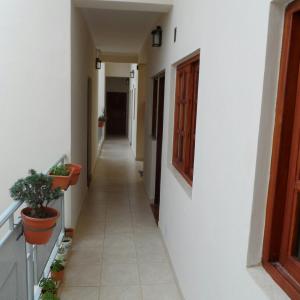 a hallway of a house with potted plants at Alquiler Temporario Salta in Salta