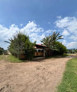 a house on a dirt road with palm trees at URUGANO VIRUNGA PALACE in Nyarugina