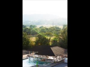 a view of a swimming pool with a roof at Апартаменты Сонячний квартал in Golubinoye