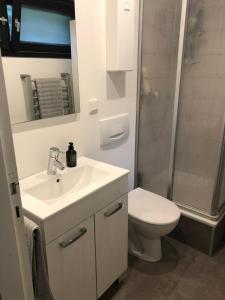 ein Badezimmer mit Waschbecken, Toilette und Dusche in der Unterkunft BaumbergIdyll in Billerbeck